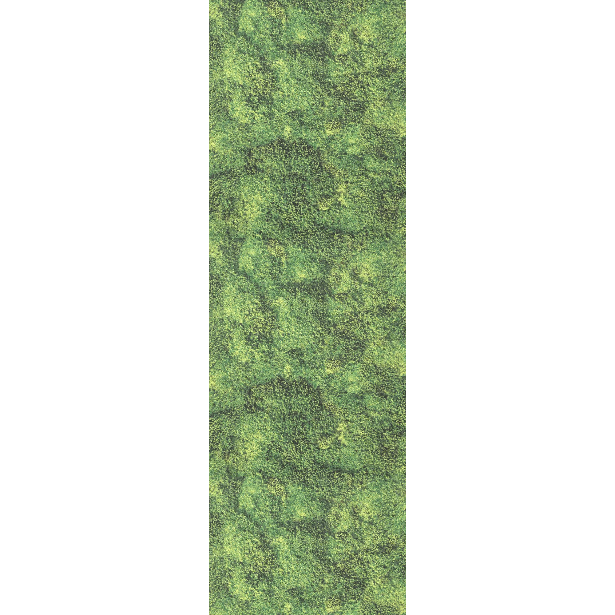 Miniature 4